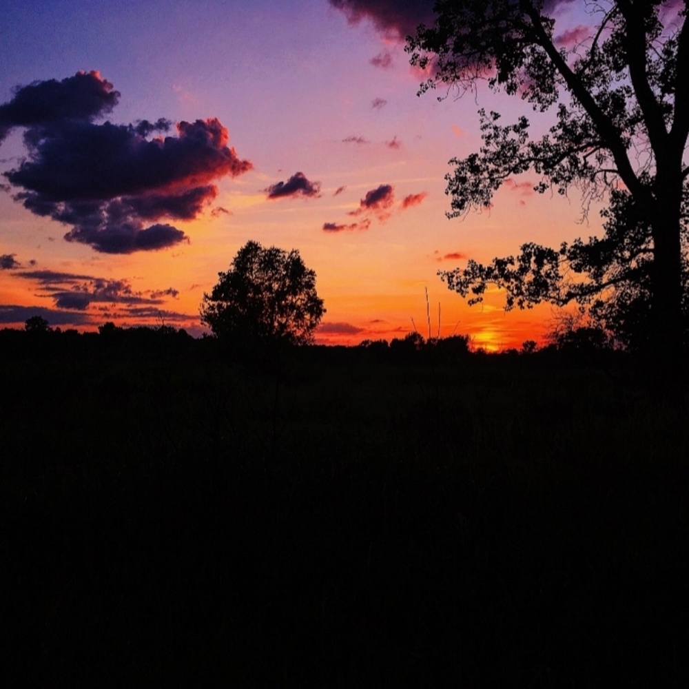 Meet your Posher, Adrianna